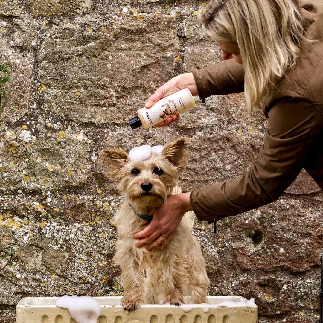 Bramley Digby hondenshampoo lavendel mandarijn